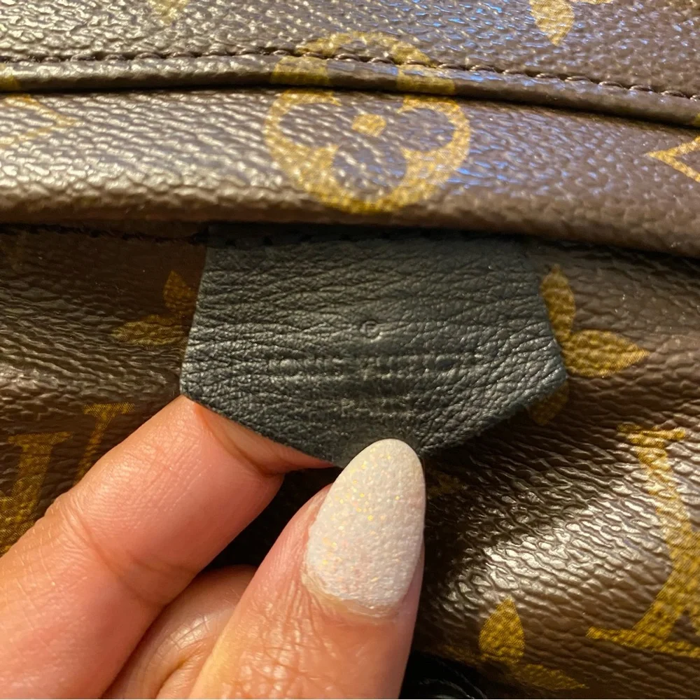 Louis Vuitton Palm Springs Backpack Mini Brown Canvas - Picture 2 of 15